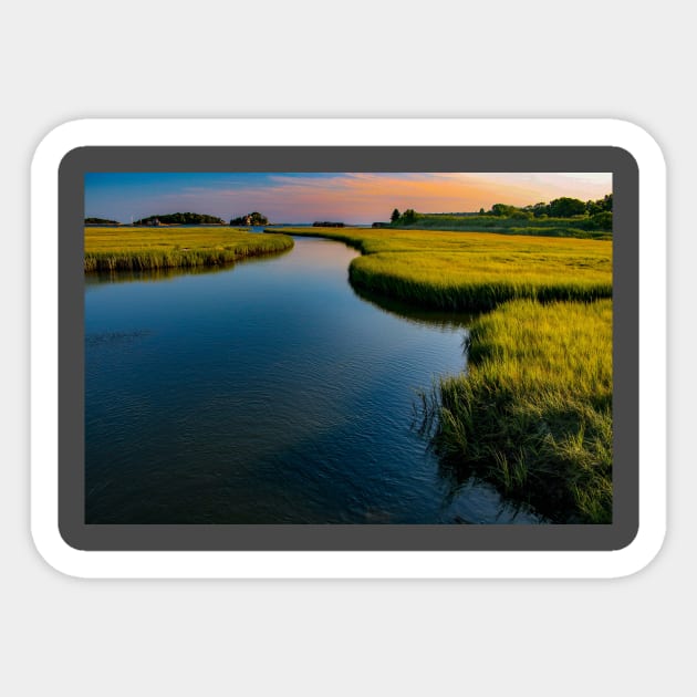 Marsh Sticker by Rob Johnson Photography